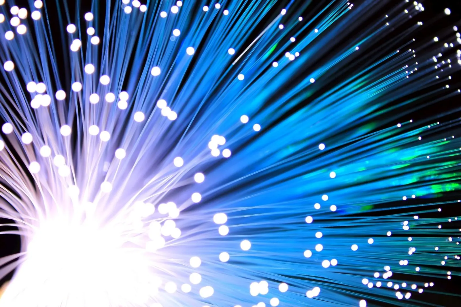Haz de fibra óptica iluminado